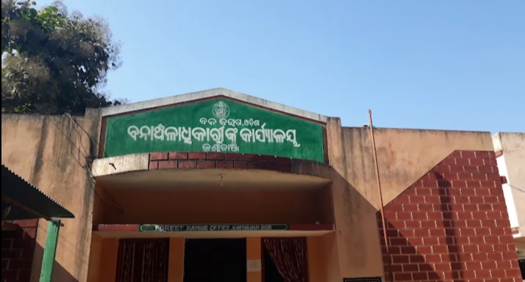 କଣ୍ଟାବାଞ୍ଜି ବନ ବିଭାଗର ଚଢ଼ାଉ କାଠ,ଗାଡ଼ି,ସହ୨ଗିରଫ